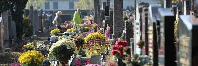 cimetière fleurs toussaint