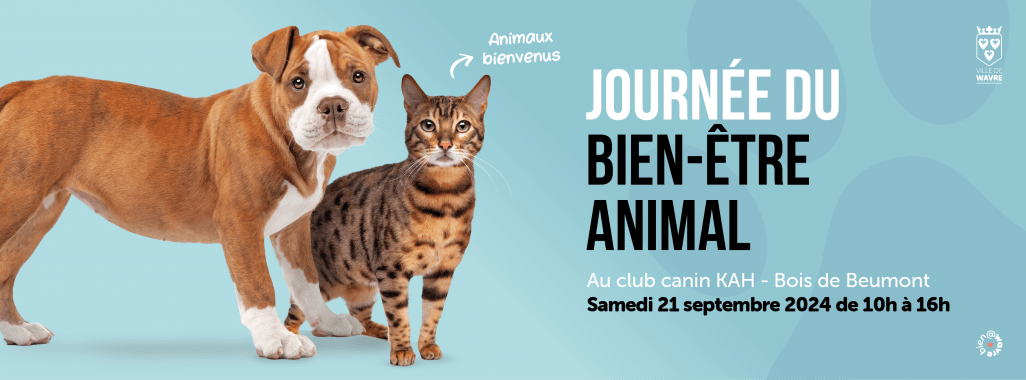 Journée du BE animal header