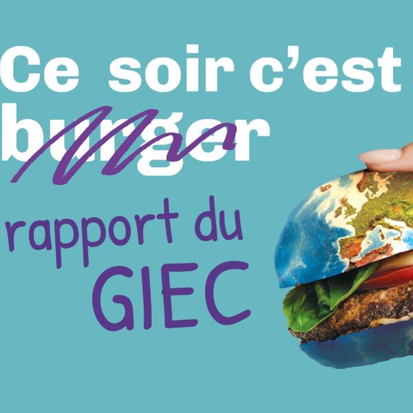Rapport GIEC COP 28