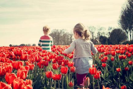 enfants dans champ de tulipes